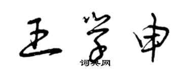 曾慶福王學申草書個性簽名怎么寫