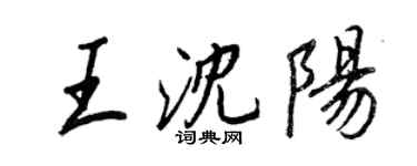 王正良王瀋陽行書個性簽名怎么寫