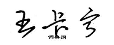 朱錫榮王卡寧草書個性簽名怎么寫