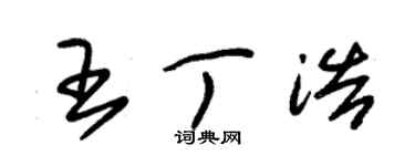 朱錫榮王丁浩草書個性簽名怎么寫