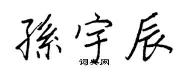 王正良孫宇辰行書個性簽名怎么寫