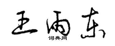 曾慶福王雨東草書個性簽名怎么寫