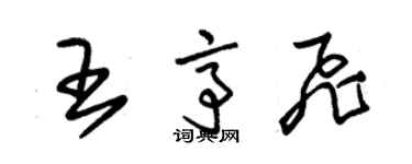 朱錫榮王亭飛草書個性簽名怎么寫