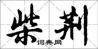 胡問遂柴荊行書怎么寫