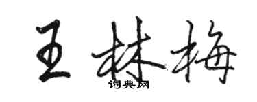 駱恆光王林梅行書個性簽名怎么寫
