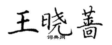 丁謙王曉薔楷書個性簽名怎么寫