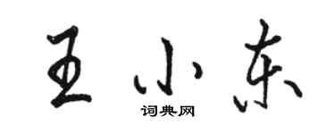 駱恆光王小東行書個性簽名怎么寫