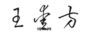 駱恆光王愛方草書個性簽名怎么寫