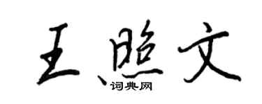 王正良王照文行書個性簽名怎么寫