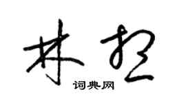梁錦英林想草書個性簽名怎么寫