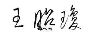 駱恆光王昭瓊草書個性簽名怎么寫