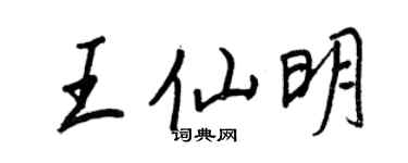 王正良王仙明行書個性簽名怎么寫
