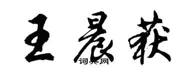 胡問遂王晨獲行書個性簽名怎么寫