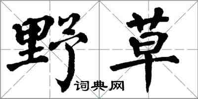 翁闓運野草楷書怎么寫