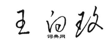 駱恆光王白玫草書個性簽名怎么寫