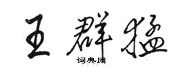 駱恆光王群猛行書個性簽名怎么寫