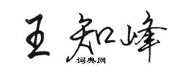 駱恆光王知峰行書個性簽名怎么寫