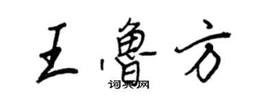 王正良王魯方行書個性簽名怎么寫