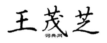 丁謙王茂芝楷書個性簽名怎么寫