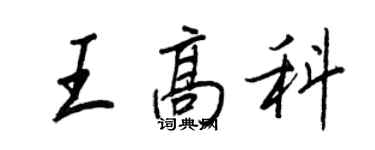 王正良王高科行書個性簽名怎么寫