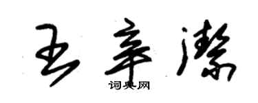 朱錫榮王辛潔草書個性簽名怎么寫