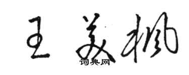 駱恆光王美楓草書個性簽名怎么寫