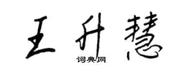 王正良王升慧行書個性簽名怎么寫