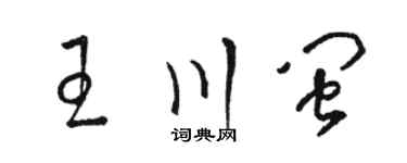 駱恆光王川閩草書個性簽名怎么寫