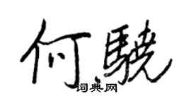 王正良何驍行書個性簽名怎么寫