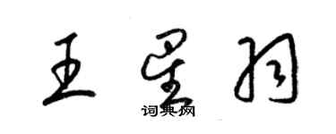 梁錦英王星羽草書個性簽名怎么寫