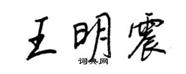 王正良王明震行書個性簽名怎么寫