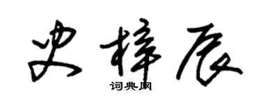 朱錫榮史梓辰草書個性簽名怎么寫