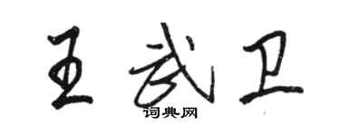 駱恆光王武衛行書個性簽名怎么寫