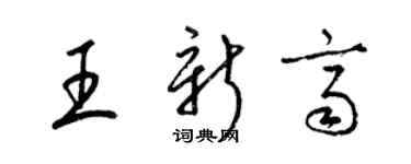 梁錦英王新齊草書個性簽名怎么寫