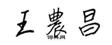 王正良王農昌行書個性簽名怎么寫