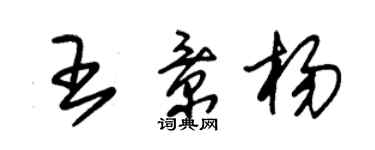 朱錫榮王景楊草書個性簽名怎么寫