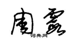 朱錫榮周霞草書個性簽名怎么寫