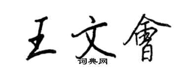 王正良王文會行書個性簽名怎么寫