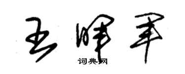 朱錫榮王暉軍草書個性簽名怎么寫