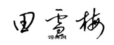 梁錦英田雪梅草書個性簽名怎么寫