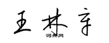 梁錦英王林辛草書個性簽名怎么寫