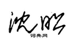 朱錫榮沈昭草書個性簽名怎么寫