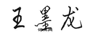 駱恆光王墨龍行書個性簽名怎么寫