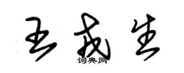 朱錫榮王戎生草書個性簽名怎么寫