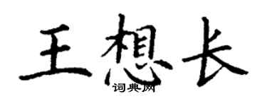 丁謙王想長楷書個性簽名怎么寫