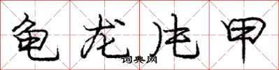 龐中華龜龍片甲行書怎么寫