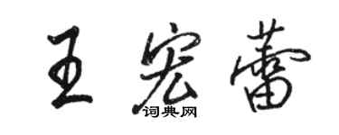 駱恆光王宏蕾行書個性簽名怎么寫