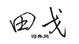 駱恆光田戈行書個性簽名怎么寫