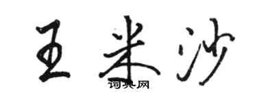 駱恆光王米沙行書個性簽名怎么寫