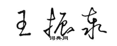 駱恆光王振泰草書個性簽名怎么寫